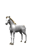 rearCLR.gif (14004 octets)