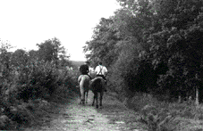 promenade