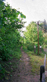 Chemin �questre