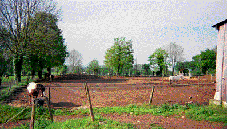 Poneys au Paddock