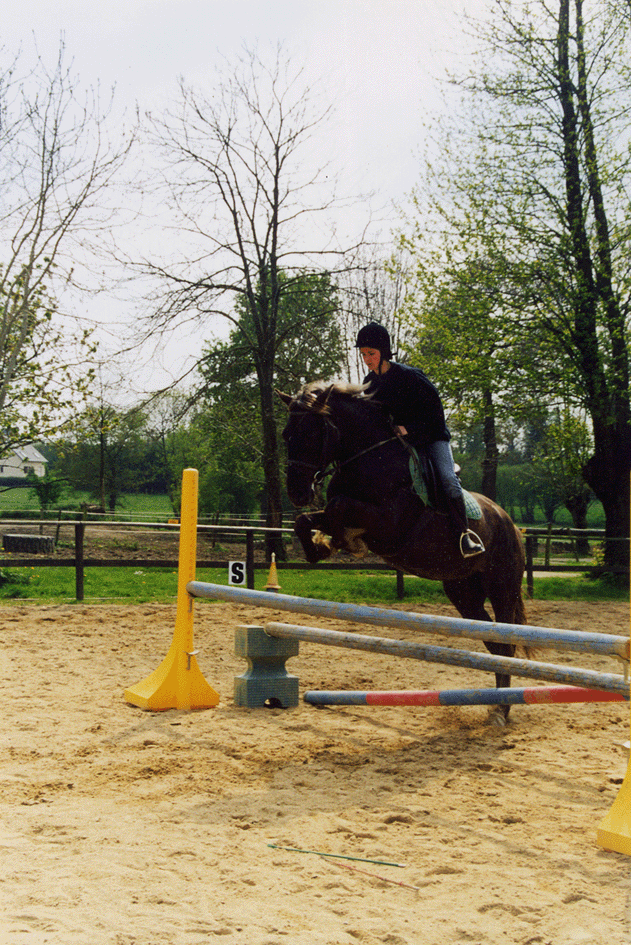 Saut d'obstacle